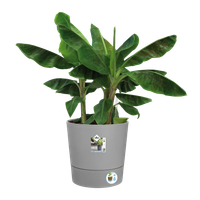 greensense aqua care round 43cm light concrete